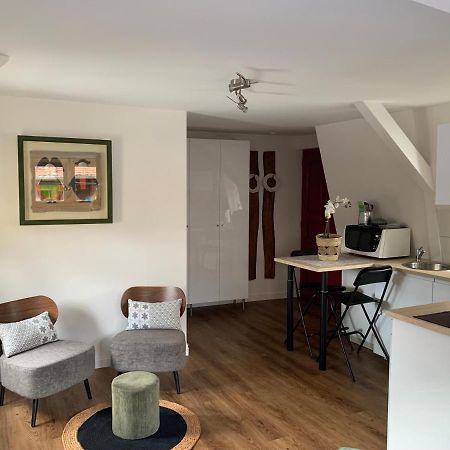 Coquet Studio Colmar Centre Ngoại thất bức ảnh