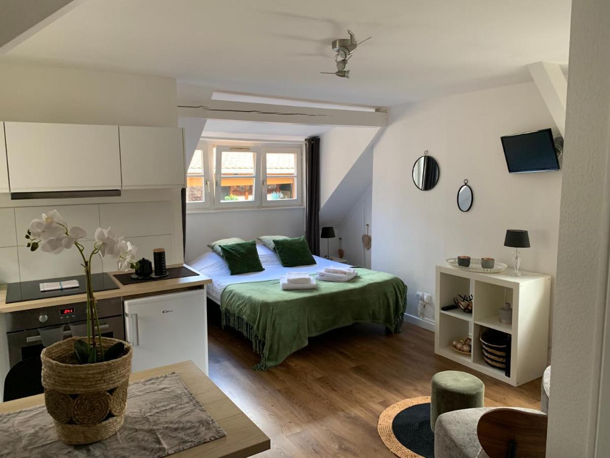Coquet Studio Colmar Centre Ngoại thất bức ảnh