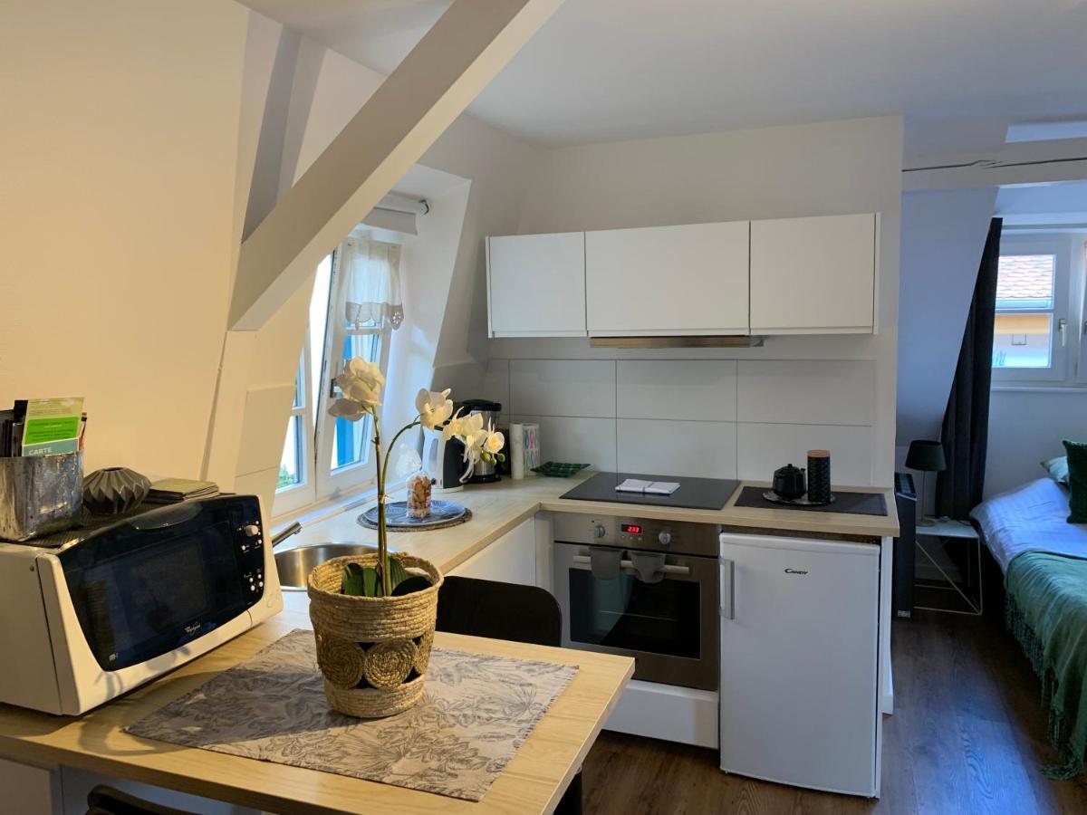 Coquet Studio Colmar Centre Ngoại thất bức ảnh