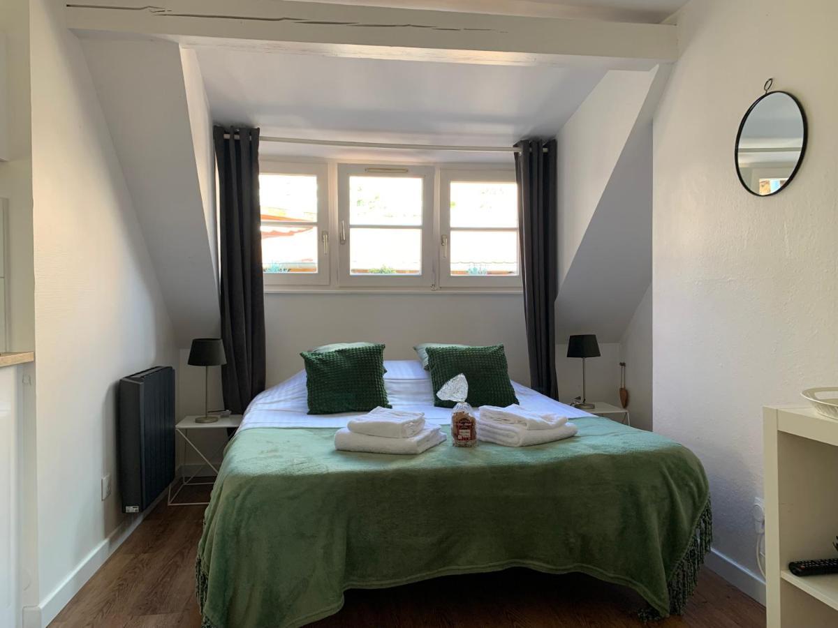 Coquet Studio Colmar Centre Ngoại thất bức ảnh